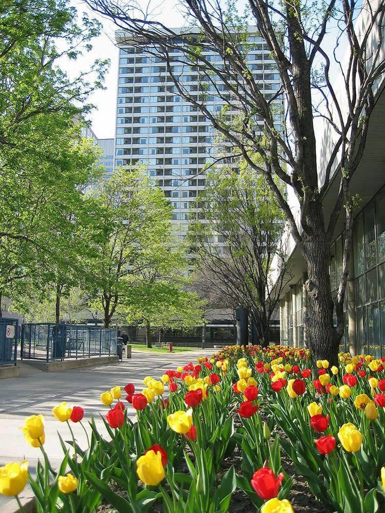Chestnut Residence And Conference Centre - University Of Toronto Exterior foto
